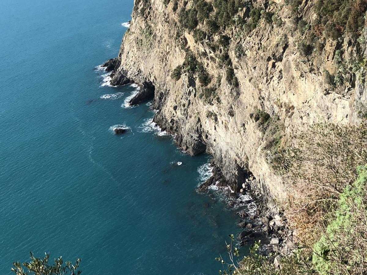 Zia Letizia Bed And Wine Hotel Monterosso al Mare Eksteriør billede